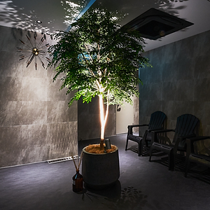 SAUNA XX「サウナエックス」完全ガイド｜目黒・四ツ谷の極低温9℃水風呂サウナ【2025年最新】